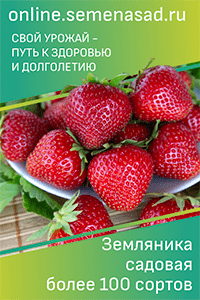 Способы обогрева теплицы, или Как получать урожай нон-стоп круглый год