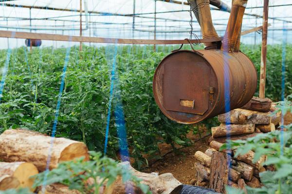 Способы обогрева теплицы, или Как получать урожай нон-стоп круглый год