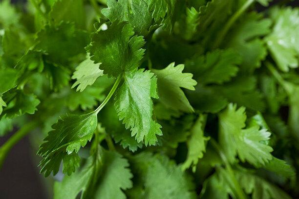 12 продуктов, которые хорошо есть во время месячных