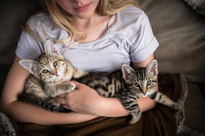 Настоящая экзотика &mdash; самые редкие породы домашних кошек