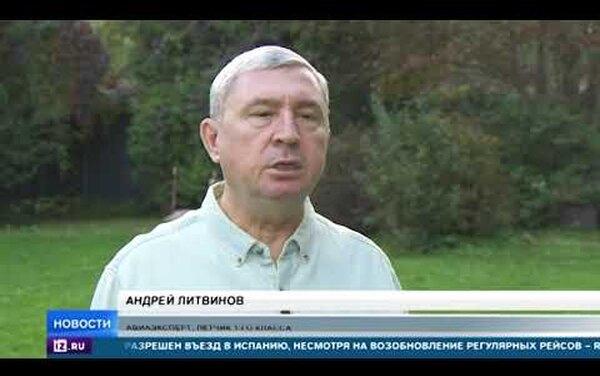 «Сама открыла переноску изнутри»: в Домодедово 4 дня ищут сбежавшую собаку Еву