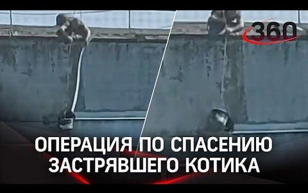 Ведром и шлангом: мужчина спас кота, застрявшего на крыше балкона