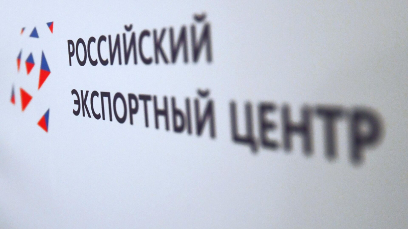 РЭЦ отметил рост интереса российских инвесторов к проектам в Киргизии